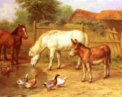 Ponies Donky and Ducks In A Farmyard - 埃德加·亨特
